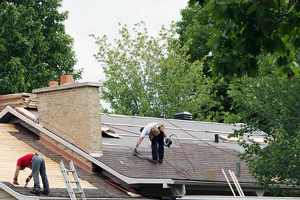 Best Roof Gutter Cleaning  in Wyboo, SC